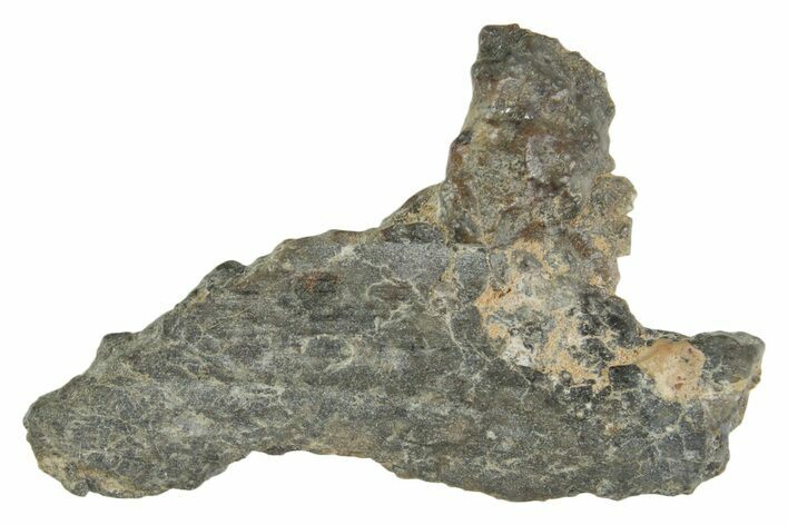 Lunar Meteorite ( g) Section - Laayoune #360215